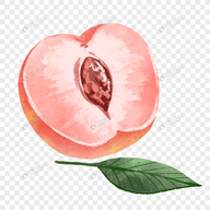 WWW,se119·COM网站APPAPP应用